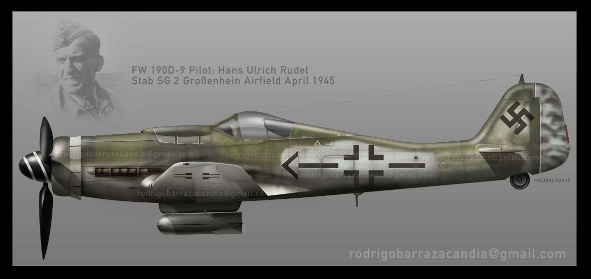 Fw 190D RUDEL.jpg