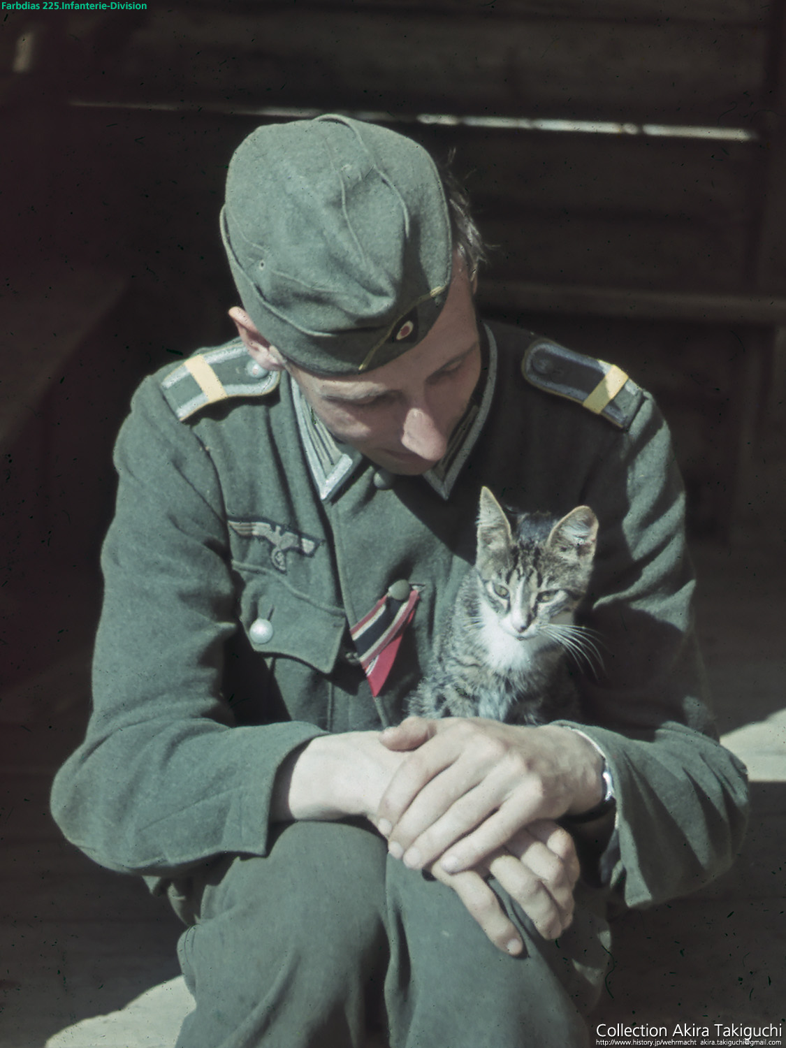 1 german soldier with cat color.jpg
