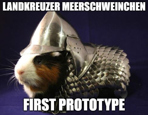 Meerschweinchen.JPG