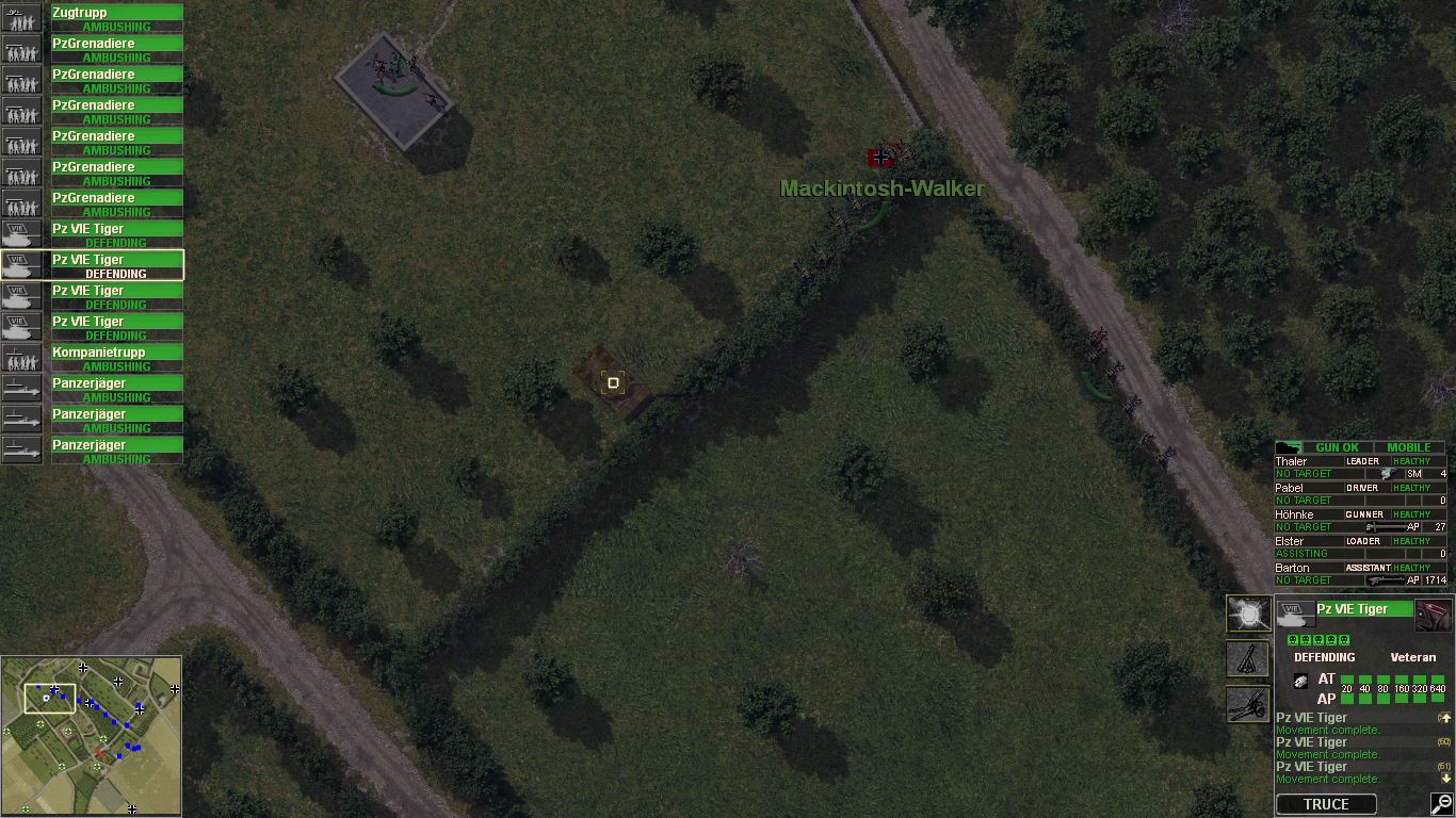 Turret Bug.JPG